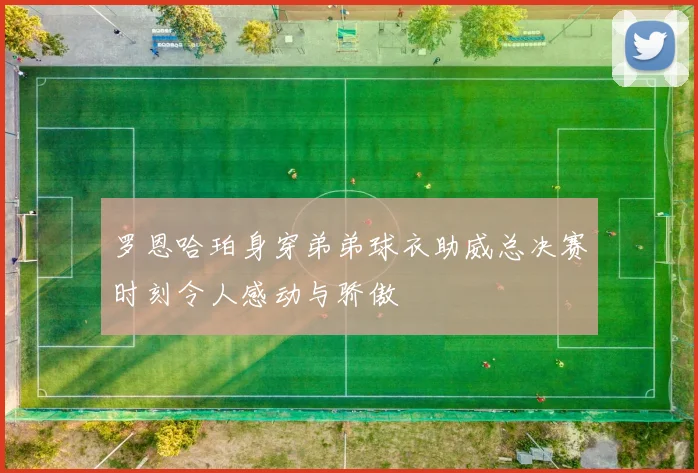 罗恩哈珀身穿弟弟球衣助威总决赛时刻令人感动与骄傲